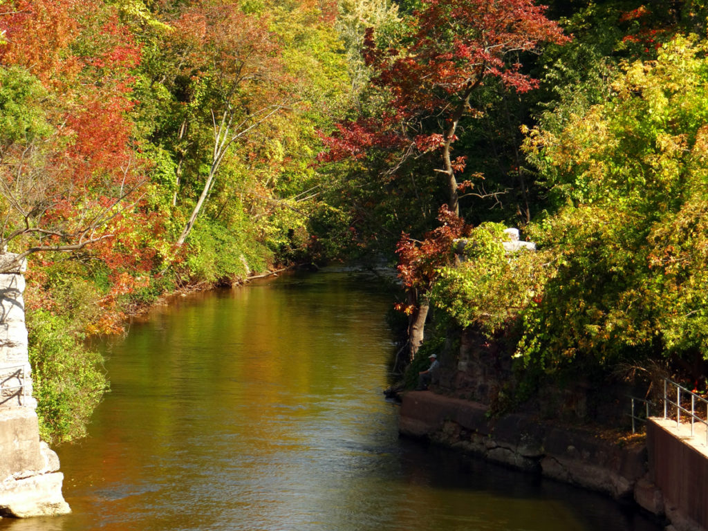 October 1, Lake Alice, Oak Orchard Creek,Suburban#4