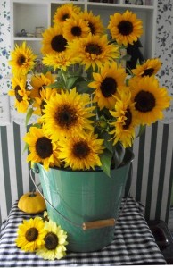 Sunflowers harvested late in the season made a dramatic indoor bouquet. 