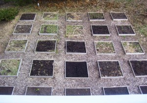 The “aerial view” of the Jones garden area in a provided photo taken from a second floor window shows the 4’ x 4’ gardening boxes.