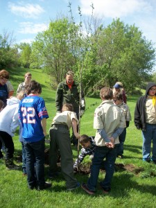 Members of Boy Scout troop 31 in Bergen help to plant a Crimson Cloud hawthorn tree at Hartland Park in the village during activities on Community Action Day held Saturday, May 17.