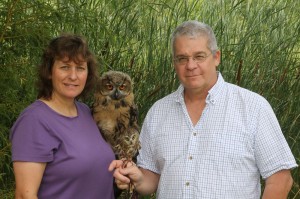 Anne and Paul Schnell hold their large and small owls. The small saw-whet owl is about two years old and measures about 5 inches high and weighs about 5 ounces. Saw-whets are the smallest owl in the Northeast section of the country. He was obtained from the Minnesota Raptor Center having an injured wing, probably from being hit by a vehicle. He showed a lot of activity in pulsated breathing, called gular flutter. Since owls don’t have sweat glands, they use evaporative cooling by heavy breathing.