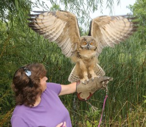 Anne Schnell holds Goliath. She got him to show off his six foot wingspan by throwing him slightly off balance.