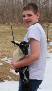 Andrew Drechsel, a sixth grader at Holley Elementary School, holds Hurley, the Hog Island lamb that was born this spring. G. Griffee photo