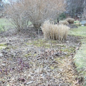 Now is the time to clear garden beds of debris and dead plant material. This will help with disease control and makes the garden look nice and tidy. K. Gabalski photo.