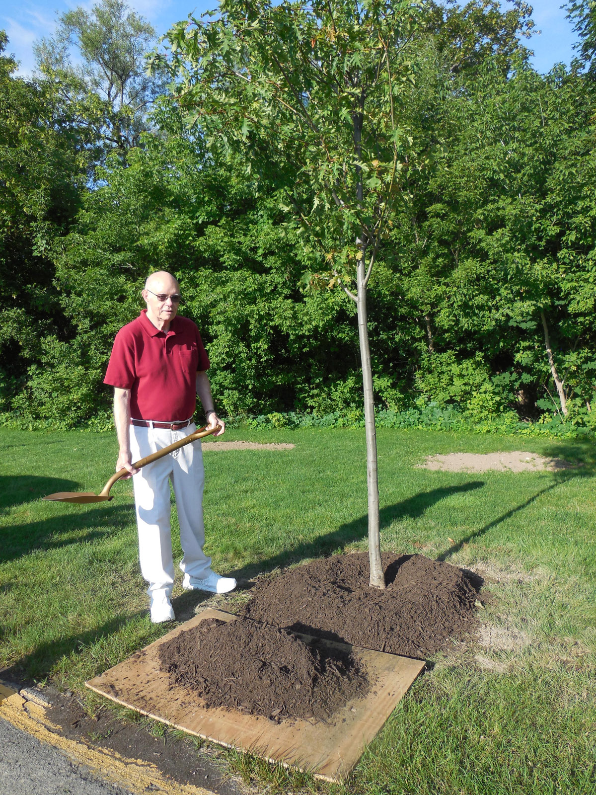 Tree planting ceremony honors Churchville’s Don Suter – Westside News Inc
