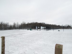 The recently opened Sweden Dog Park. Photo taken on a blustery day - the park is open year-round and features a side for small dogs and a side for large dogs. K. Gabalski photo