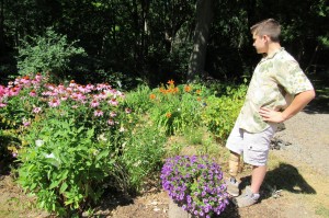 Garrett Spring looks over the thriving perennials that continue to grow in the first garden he planted eight years ago. K. Gabalski photo 