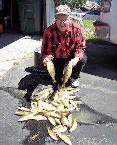 Jim Miller, veteran perch fisherman with a nice mess of perch, too big for poor man’s shrimp.