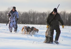 This band of coyote hunters from Clifton Springs chase these deer killers like they owe them money. The best way to manage these predators is to hunt them with hounds. Provided photo 