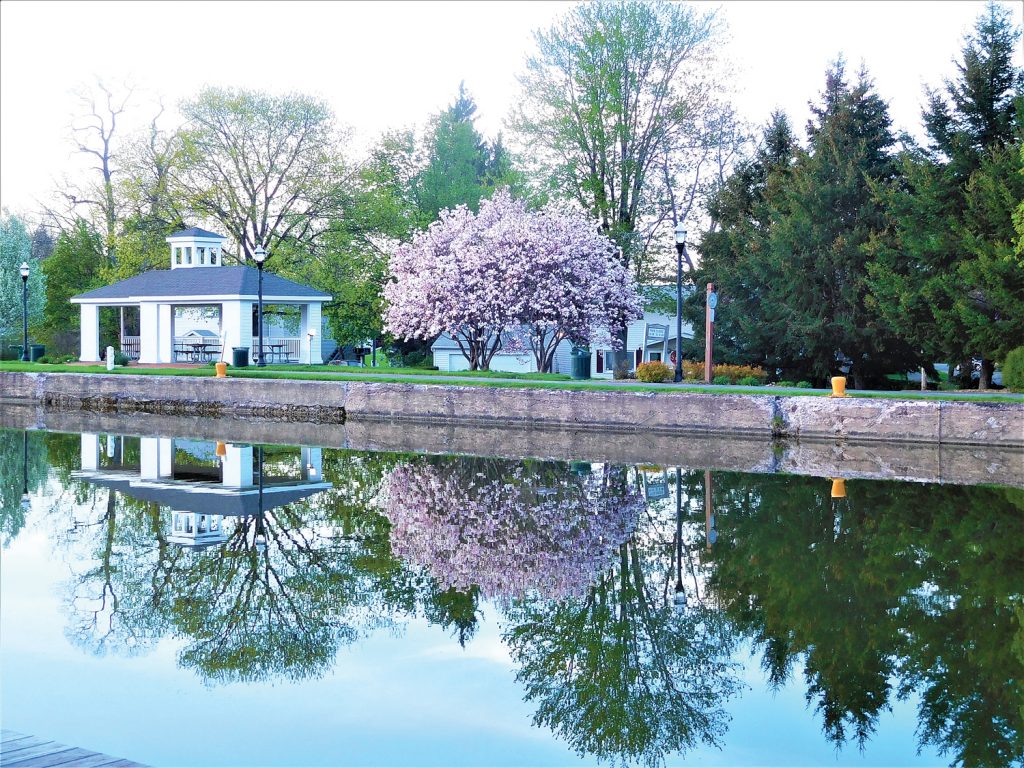 Ray Kuntz canal