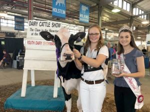 Emily Mikel and her cow, Bingo, received the award for 4-H Master Showman at the New York State Fair. 