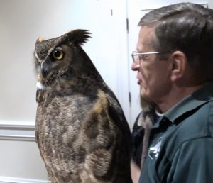 Wild Wings owl presentation. 