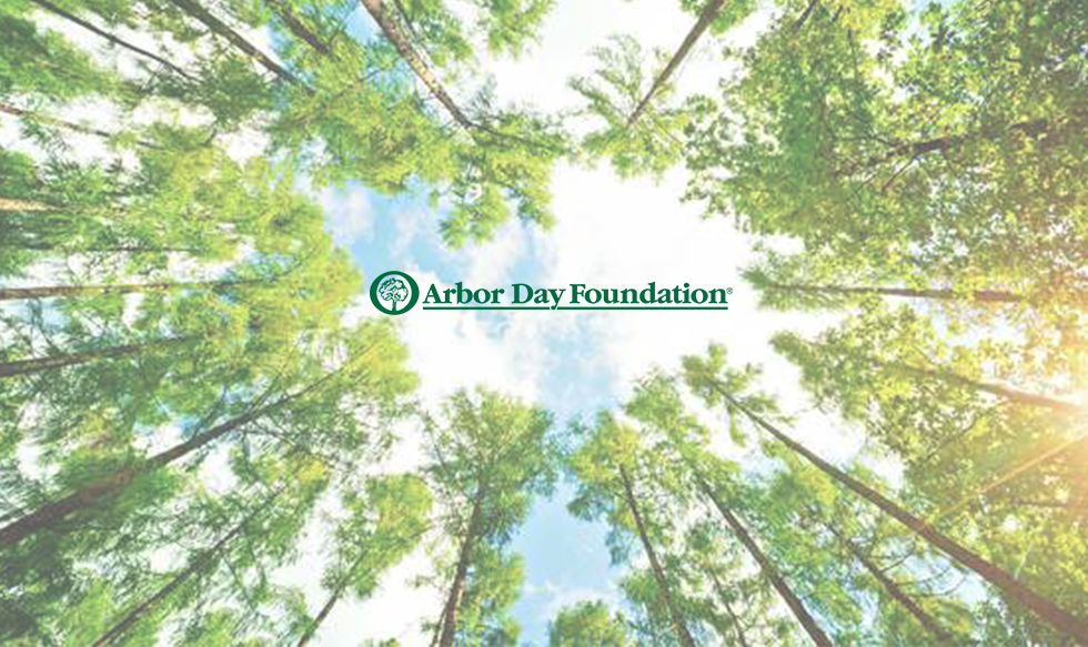 arbor day foundation free trees reddit