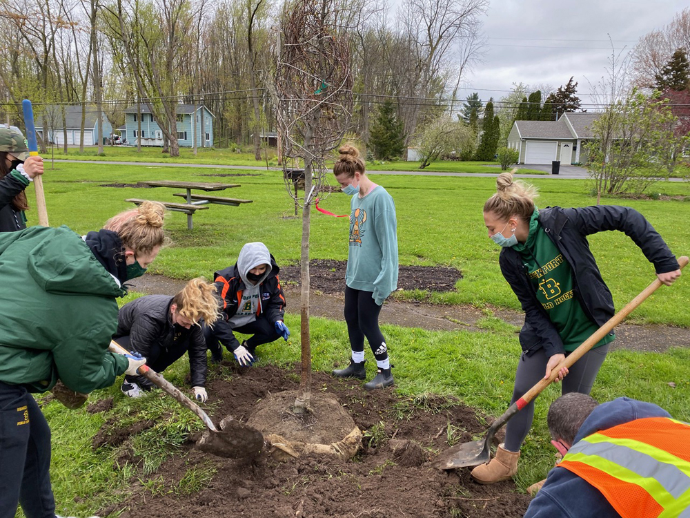The Village of Brockport Celebrates Arbor Day with tree planting ...